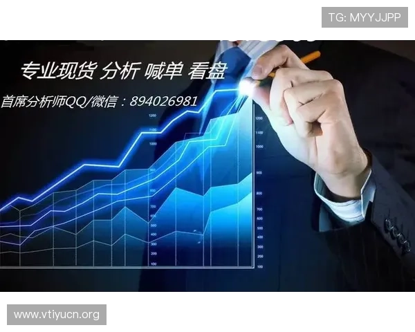 速盈官方最新动向揭示：如何在投资中实现快速盈利